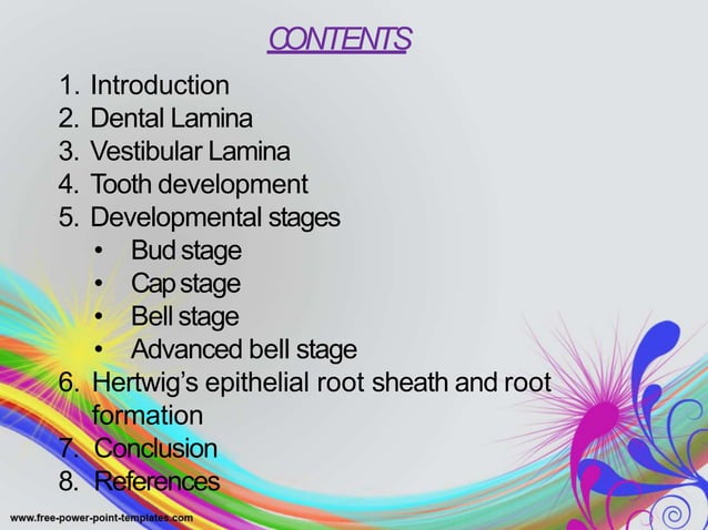 Development of teeth | PPTX | Dental Health | Diseases and Conditions