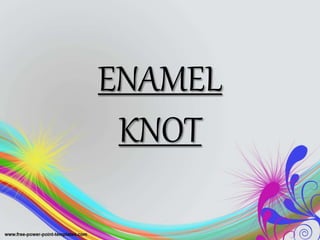 ENAMEL
KNOT
 