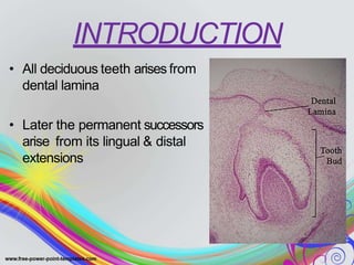 INTRODUCTION
• All deciduous teeth arises from
dental lamina
• Later the permanent successors
arise from its lingual & distal
extensions
 