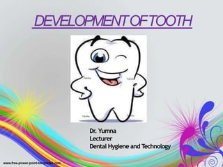 DEVELOPMENTOFTOOTH
Dr. Yumna
Lecturer
Dental Hygiene and Technology
 
