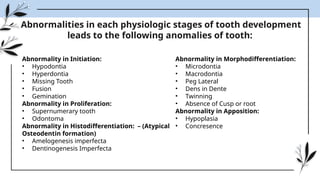 development of teeth: morphological and physiological stages | PPTX
