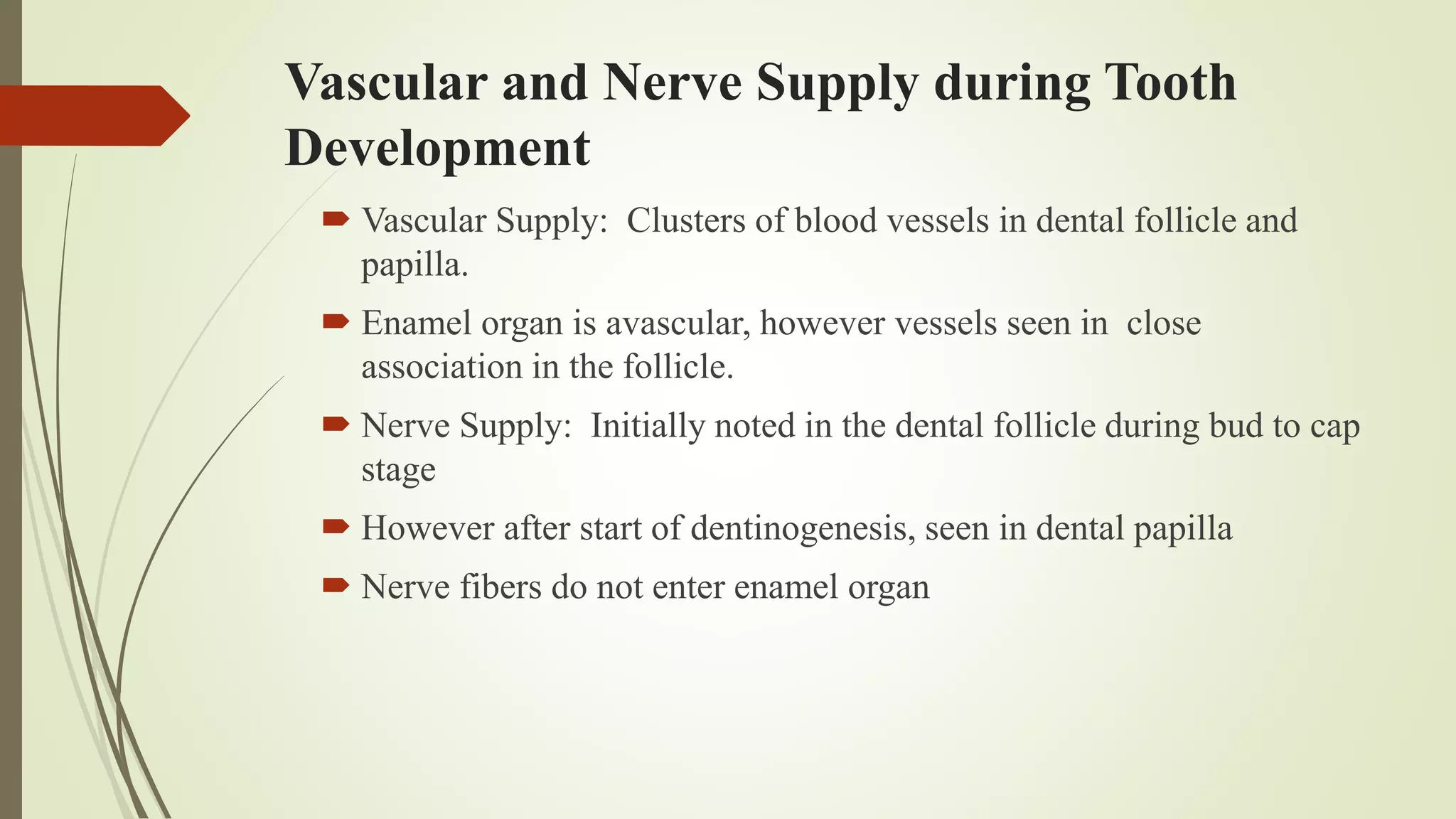 Development Of Teeth | PPTX