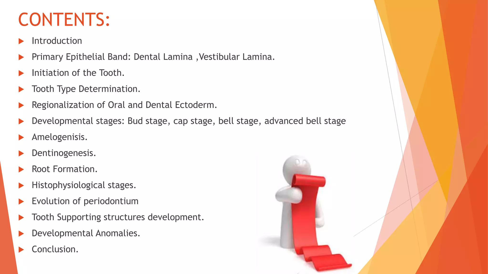Development of teeth and supporting structures ppt Dr. Vasavi Reddy | PPTX