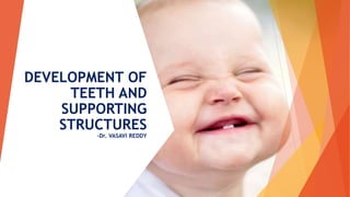 DEVELOPMENT OF
TEETH AND
SUPPORTING
STRUCTURES
-Dr. VASAVI REDDY
 