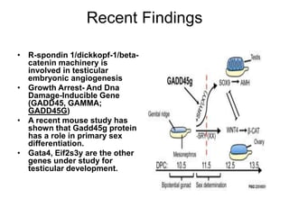 Recent Findings
• R-spondin 1/dickkopf-1/beta-
catenin machinery is
involved in testicular
embryonic angiogenesis
• Growth Arrest- And Dna
Damage-Inducible Gene
(GADD45, GAMMA;
GADD45G)
• A recent mouse study has
shown that Gadd45g protein
has a role in primary sex
differentiation.
• Gata4, Eif2s3y are the other
genes under study for
testicular development.
 