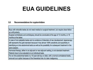 EUA GUIDELINES
 