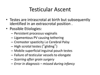 Testicular Ascent
• Testes are intrascrotal at birth but subsequently
identified in an extrascrotal position .
• Possible Etiologies:
– Persistent processus vaginalis
– Ligamentous PV causing tethering
– Cremaster spasticity i.e Cerebral Palsy
– High scrotal testes (“gliding”)
– Mobile superficial inguinal pouch testes
– Failure of testicular vessels to elongate
– Scarring after groin surgery
– Error in diagnosis – missed during infancy
 