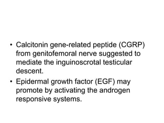 • Calcitonin gene-related peptide (CGRP)
from genitofemoral nerve suggested to
mediate the inguinoscrotal testicular
descent.
• Epidermal growth factor (EGF) may
promote by activating the androgen
responsive systems.
 