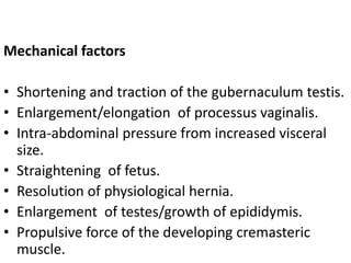 Mechanical factors
• Shortening and traction of the gubernaculum testis.
• Enlargement/elongation of processus vaginalis.
• Intra-abdominal pressure from increased visceral
size.
• Straightening of fetus.
• Resolution of physiological hernia.
• Enlargement of testes/growth of epididymis.
• Propulsive force of the developing cremasteric
muscle.
 