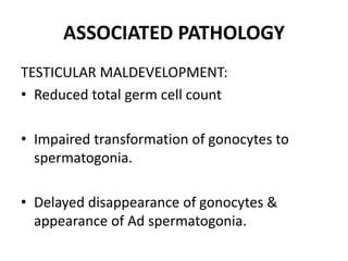 ASSOCIATED PATHOLOGY
TESTICULAR MALDEVELOPMENT:
• Reduced total germ cell count
• Impaired transformation of gonocytes to
spermatogonia.
• Delayed disappearance of gonocytes &
appearance of Ad spermatogonia.
 