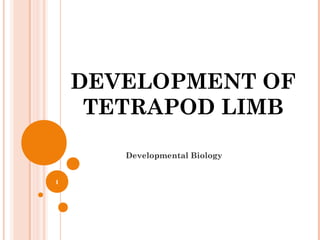 DEVELOPMENT OF
TETRAPOD LIMB
Developmental Biology
1
 
