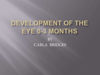 DEVELOPMENT OF THE EYE 0-3 MONTHS BY  CARLA  BRIDGES 