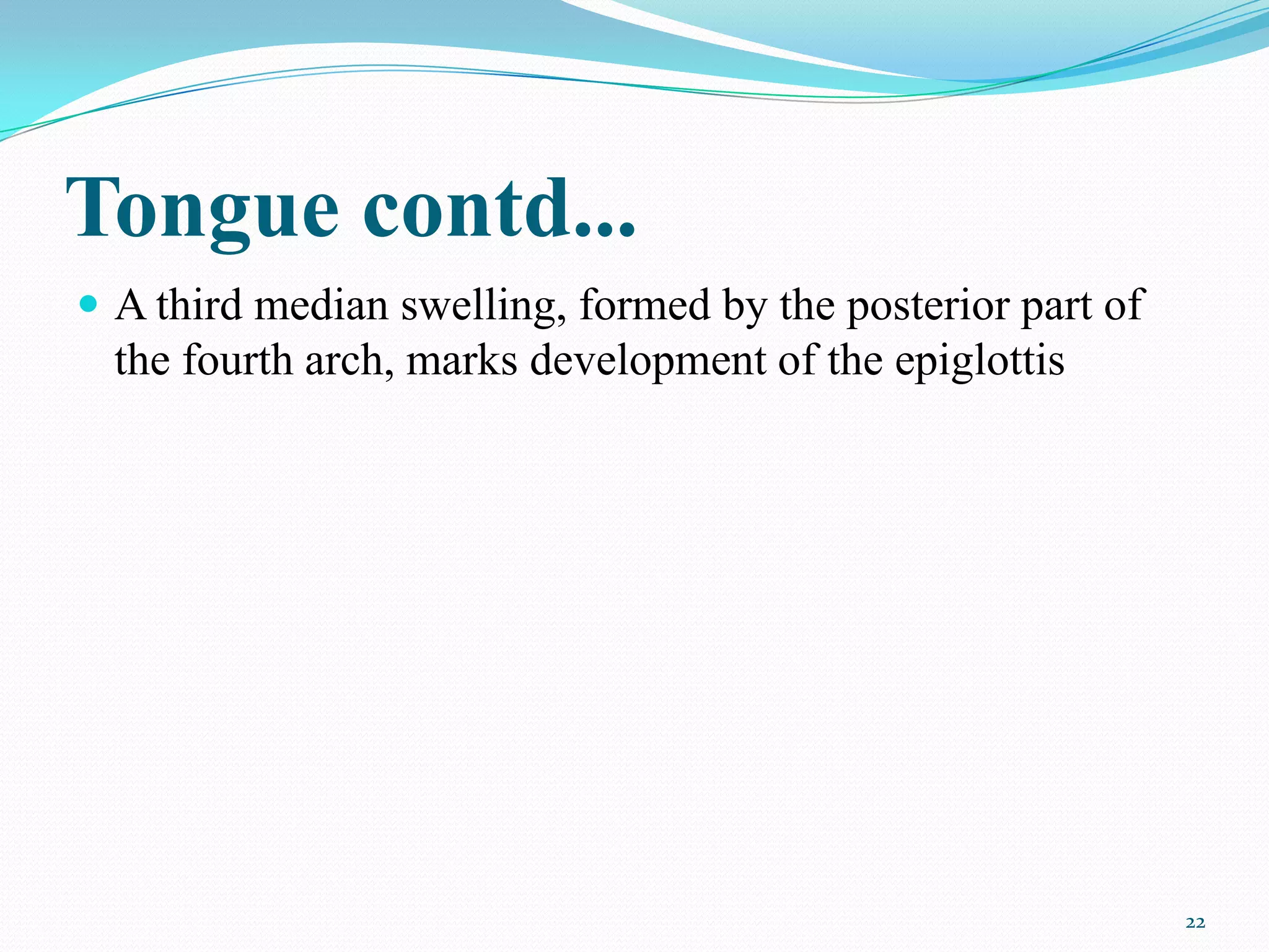Tongue contd...
 A third median swelling, formed by the posterior part of
  the fourth arch, marks development of the epiglottis




                                                             22
 