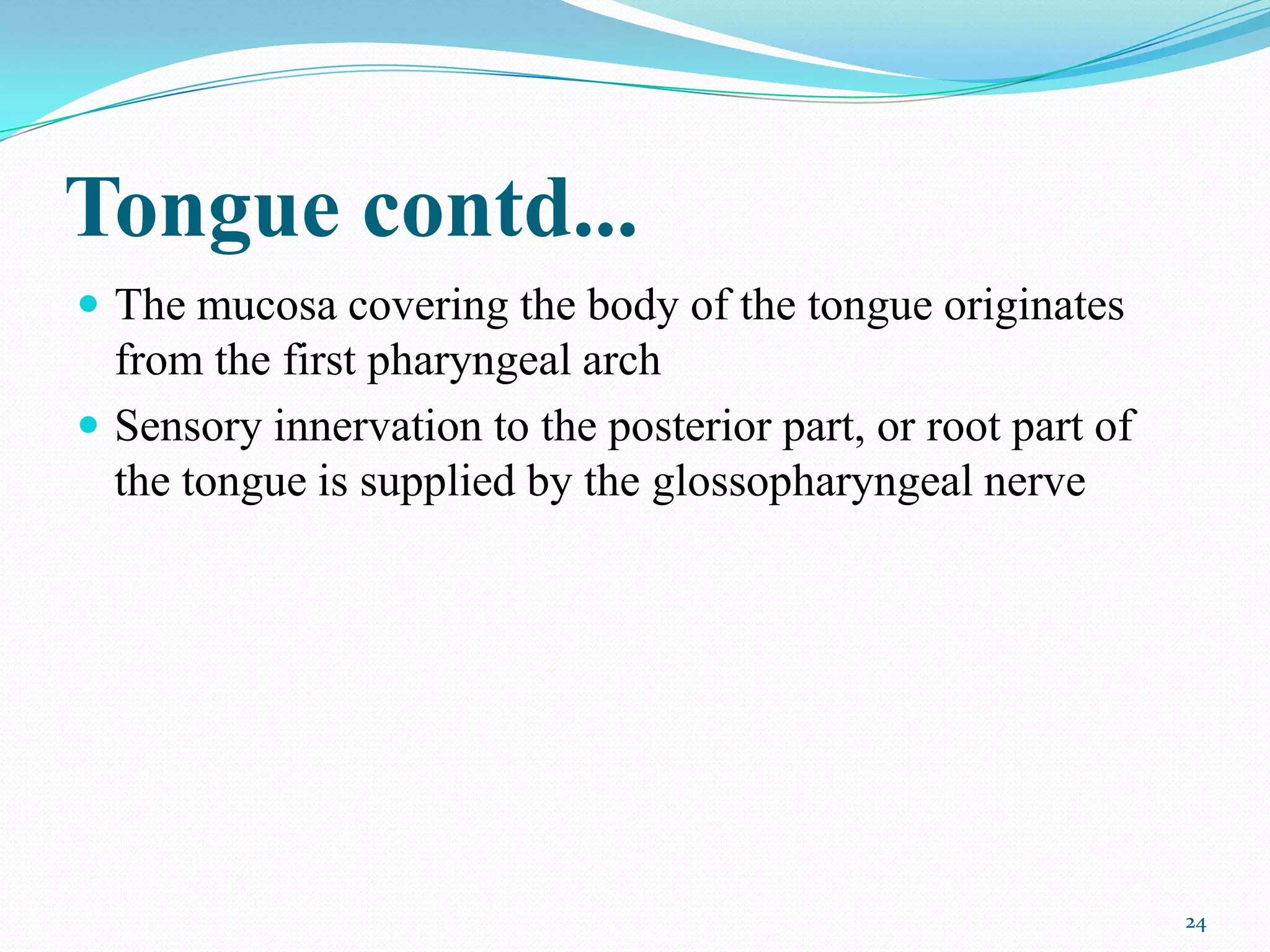 Tongue contd...
 The mucosa covering the body of the tongue originates
  from the first pharyngeal arch
 Sensory innervation to the posterior part, or root part of
  the tongue is supplied by the glossopharyngeal nerve




                                                               24
 