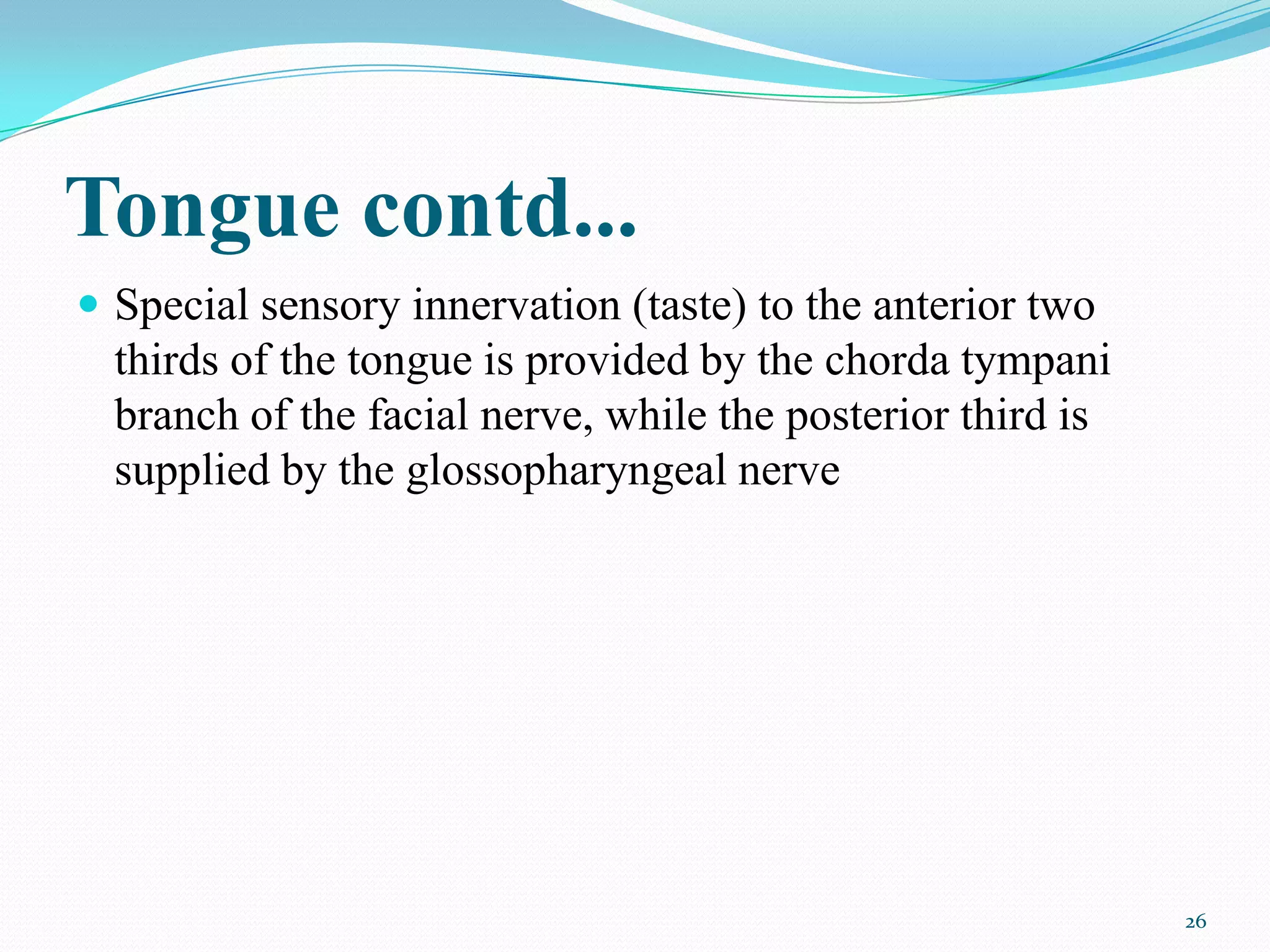 Tongue contd...
 Special sensory innervation (taste) to the anterior two
  thirds of the tongue is provided by the chorda tympani
  branch of the facial nerve, while the posterior third is
  supplied by the glossopharyngeal nerve




                                                             26
 