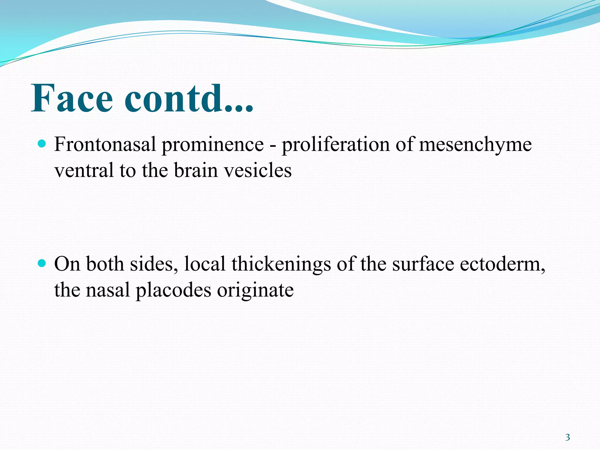 Face contd...
 Frontonasal prominence - proliferation of mesenchyme
  ventral to the brain vesicles



 On both sides, local thickenings of the surface ectoderm,
  the nasal placodes originate




                                                              3
 