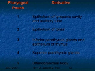 29/07/2017 BY - Dr. Sanjana G. Patil 13
Pharyngeal
Pouch
Derivative
1 Epithelium of tympanic cavity
and auditory tube
2 Epithelium of tonsil
3 Inferior parathyroid glands and
epithelium of thymus
4 Superior parathyroid glands.
5 Ultimobranchial body.
 