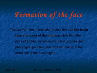 29/07/2017 BY - Dr. Sanjana G. Patil 20
Formation of the face
Tissues from the mandibular arches form all the lower
face and most of the midface while the other
pairs of arches, including branchial grooves and
pharyngeal pouches, are involved mainly in the
formation of the neck region.
 