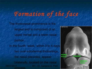 29/07/2017 BY - Dr. Sanjana G. Patil 21
Formation of the face
The frontonasal prominence is the
largest and is composed of an
upper frontal and a lower nasal
portion.
In the fourth week, within 3 to 4 days,
two oval ectodermal thickenings,
the nasal placodes, appear
bilaterally, located on the nasal
process.
 