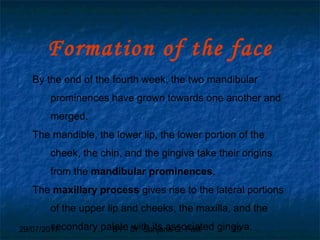 29/07/2017 BY - Dr. Sanjana G. Patil 29
Formation of the face
By the end of the fourth week, the two mandibular
prominences have grown towards one another and
merged.
The mandible, the lower lip, the lower portion of the
cheek, the chin, and the gingiva take their origins
from the mandibular prominences.
The maxillary process gives rise to the lateral portions
of the upper lip and cheeks, the maxilla, and the
secondary palate with its associated gingiva.
 