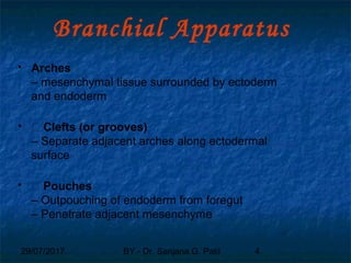 29/07/2017 BY - Dr. Sanjana G. Patil 4
Branchial Apparatus
 Arches
– mesenchymal tissue surrounded by ectoderm
and endoderm
 „ Clefts (or grooves)
– Separate adjacent arches along ectodermal
surface
 „ Pouches
– Outpouching of endoderm from foregut
– Penetrate adjacent mesenchyme
 