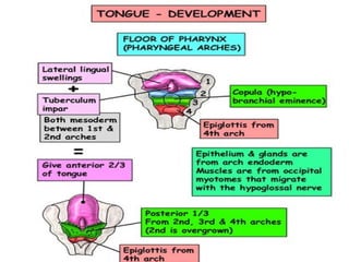 29/07/2017 BY - Dr. Sanjana G. Patil 45
 