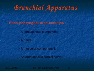 29/07/2017 BY - Dr. Sanjana G. Patil 6
Branchial Apparatus
 Each pharyngeal arch contains :
- A cartilaginous component.
- A nerve.
- A muscular component &
- An arch specific cranial nerve.
 