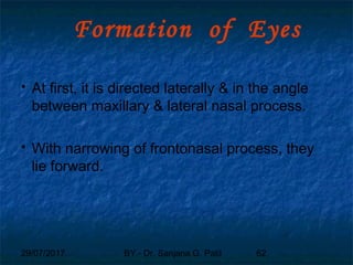 29/07/2017 BY - Dr. Sanjana G. Patil 62
Formation of Eyes
 At first, it is directed laterally & in the angle
between maxillary & lateral nasal process.
 With narrowing of frontonasal process, they
lie forward.
 