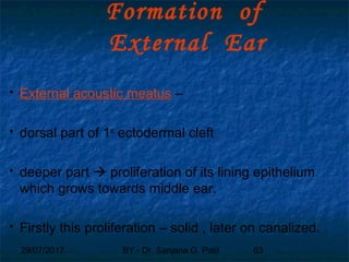 29/07/2017 BY - Dr. Sanjana G. Patil 63
Formation of
External Ear
 External acoustic meatus –
 dorsal part of 1st
ectodermal cleft
 deeper part  proliferation of its lining epithelium
which grows towards middle ear.
 Firstly this proliferation – solid , later on canalized.
 