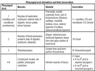 29/07/2017 BY - Dr. Sanjana G. Patil 7
 