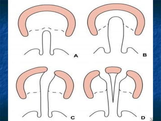 29/07/2017 BY - Dr. Sanjana G. Patil 77 77
 