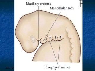 29/07/2017 BY - Dr. Sanjana G. Patil 8
 