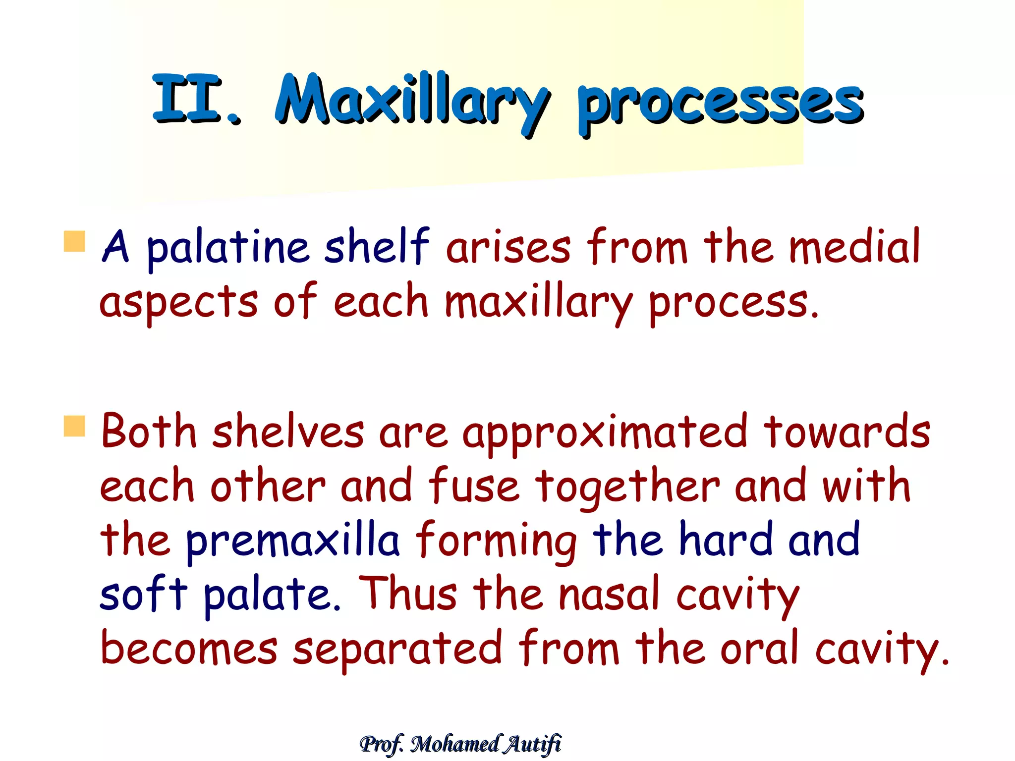 II. Maxillary processes
A

palatine shelf arises from the medial
aspects of each maxillary process.

 Both

shelves are approximated towards
each other and fuse together and with
the premaxilla forming the hard and
soft palate. Thus the nasal cavity
becomes separated from the oral cavity.
Prof. Mohamed Autifi

 