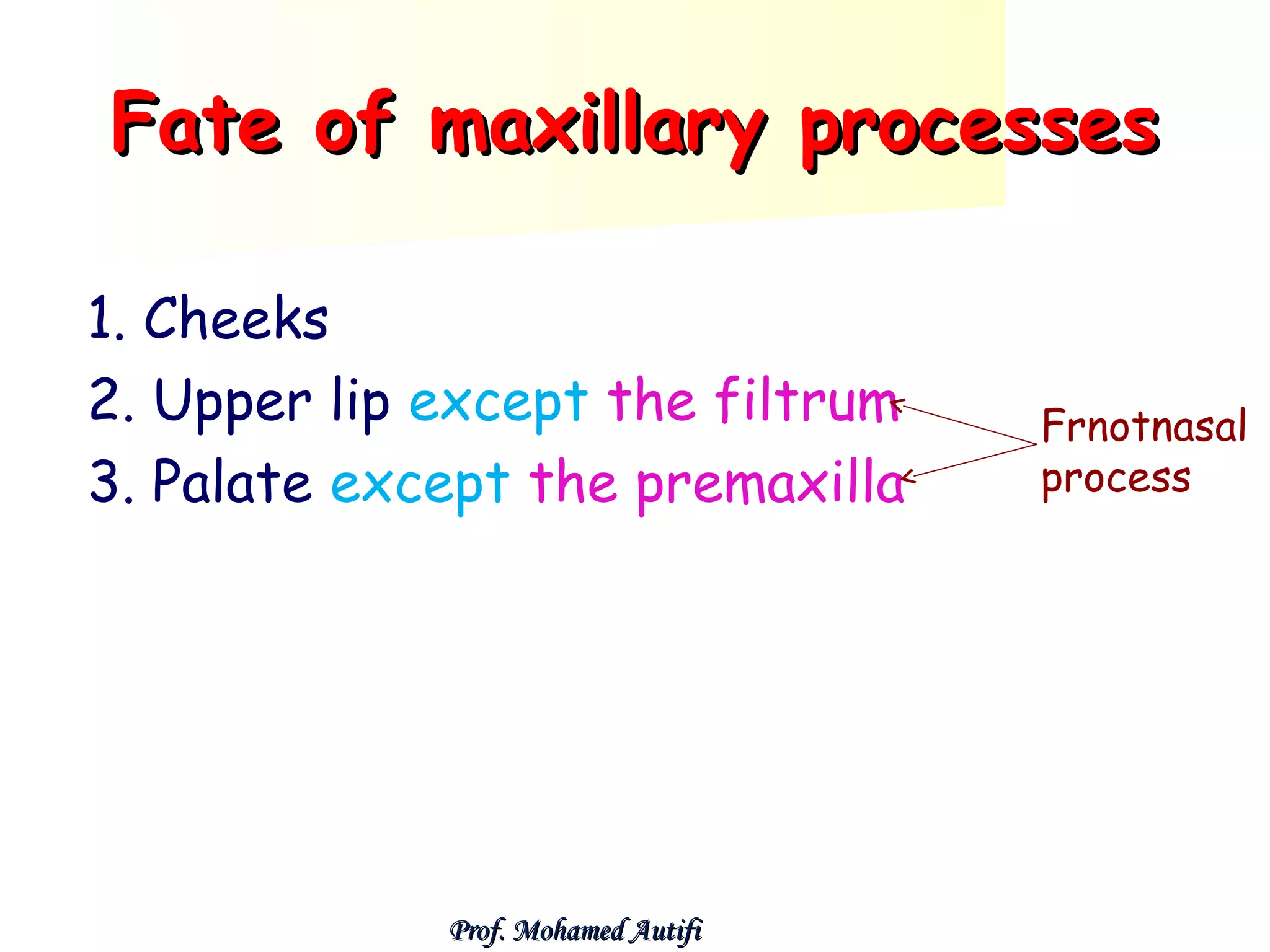 Fate of maxillary processes
1. Cheeks
2. Upper lip except the filtrum
3. Palate except the premaxilla

Prof. Mohamed Autifi

Frnotnasal
process

 
