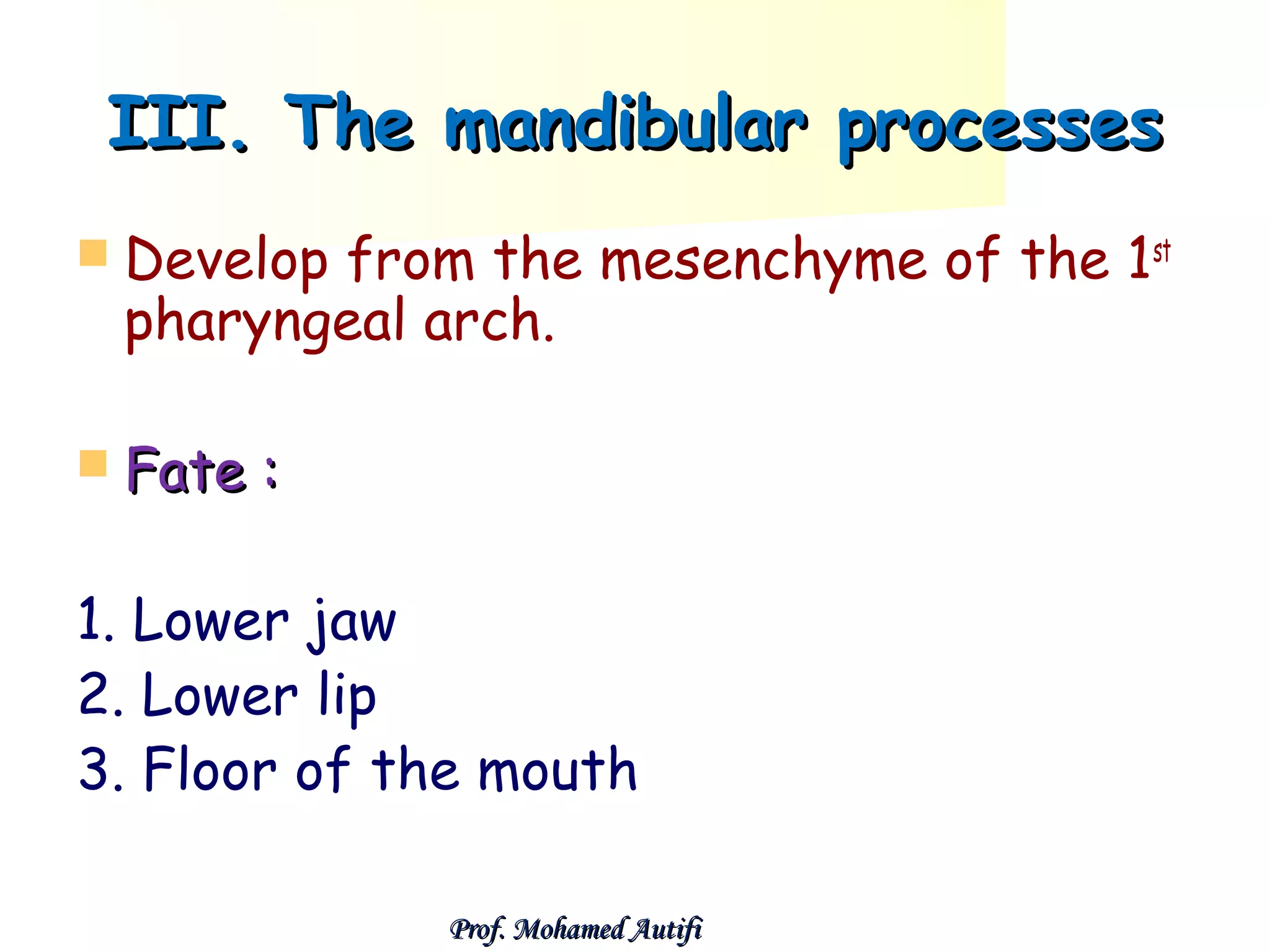 III. The mandibular processes
 Develop

from the mesenchyme of the 1st
pharyngeal arch.

 Fate

:

1. Lower jaw
2. Lower lip
3. Floor of the mouth
Prof. Mohamed Autifi

 