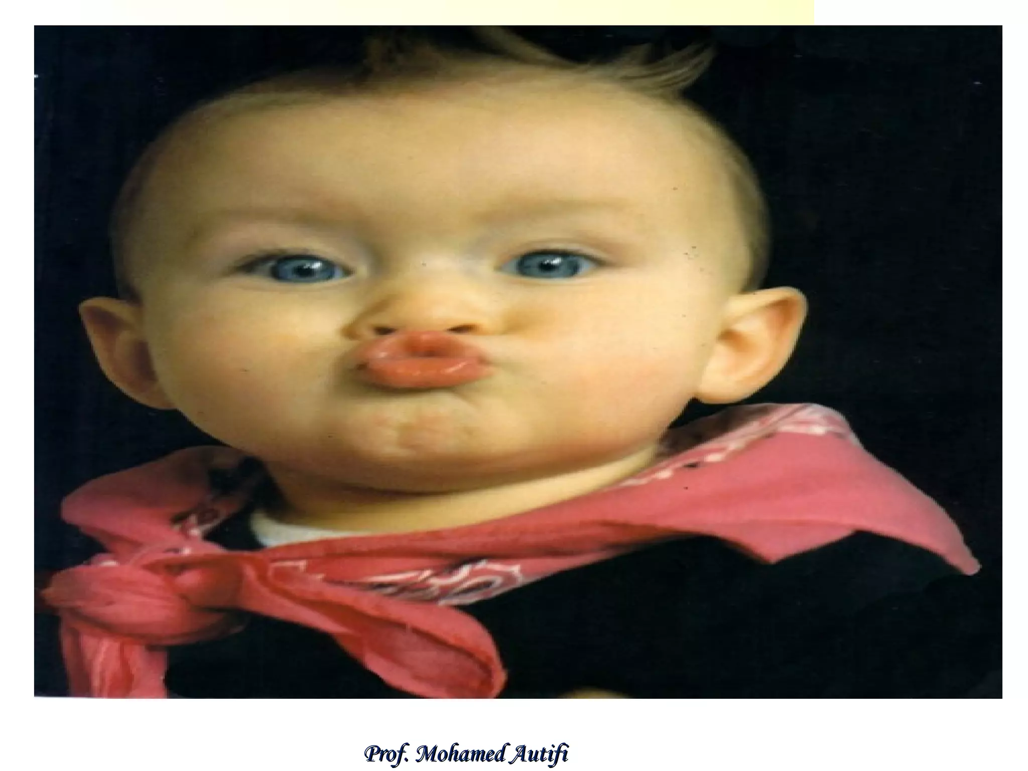 Prof. Mohamed Autifi

 