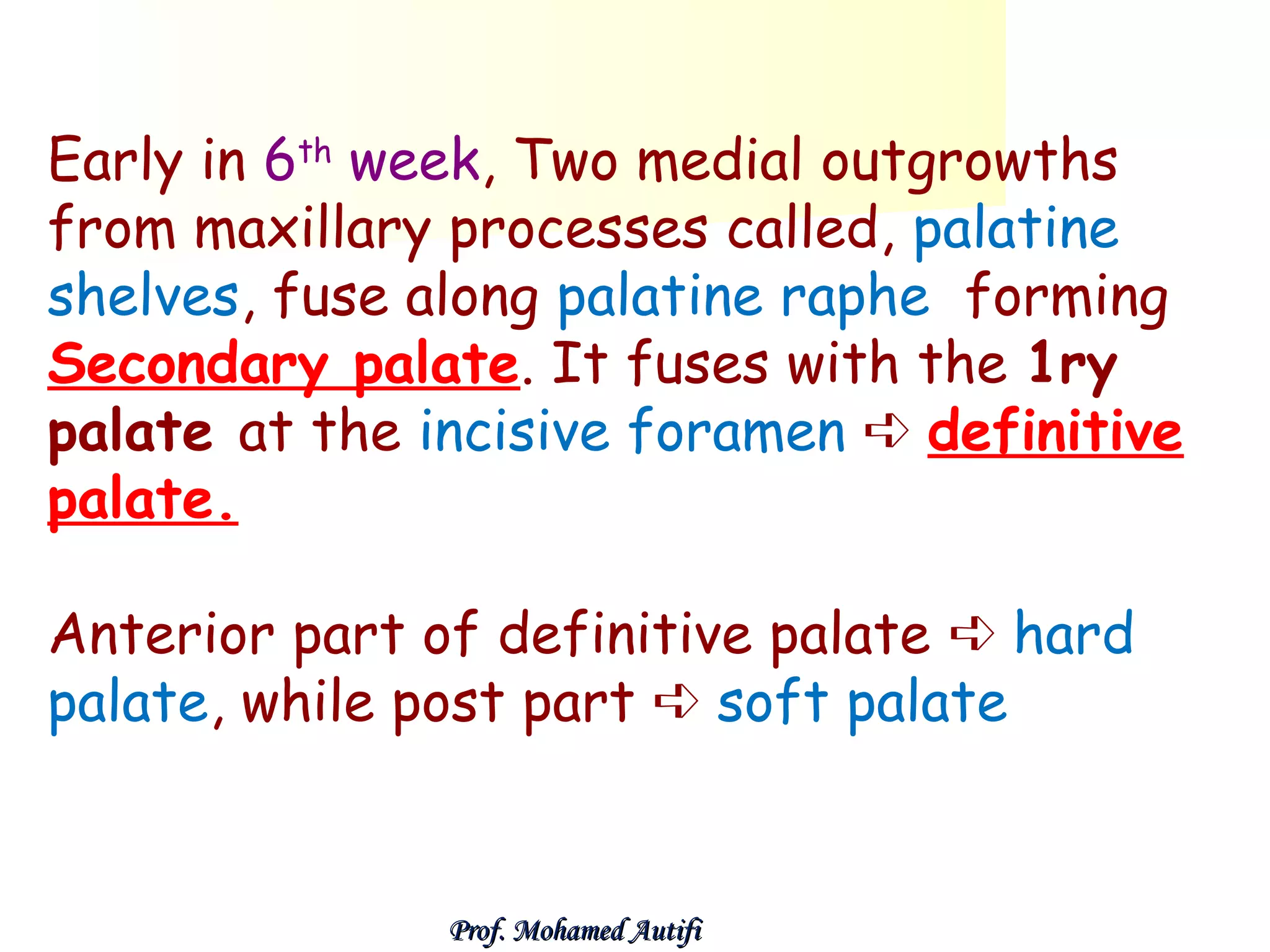 Early in 6th week, Two medial outgrowths
from maxillary processes called, palatine
shelves, fuse along palatine raphe forming
Secondary palate. It fuses with the 1ry
palate at the incisive foramen ➪ definitive
palate.
Anterior part of definitive palate ➪ hard
palate, while post part ➪ soft palate

Prof. Mohamed Autifi

 