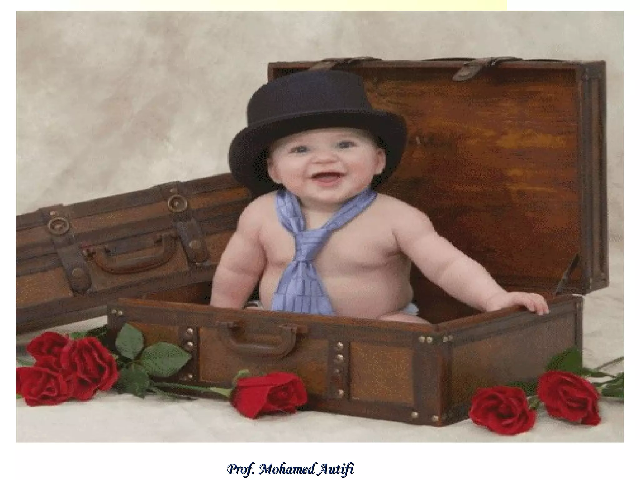 Prof. Mohamed Autifi

 