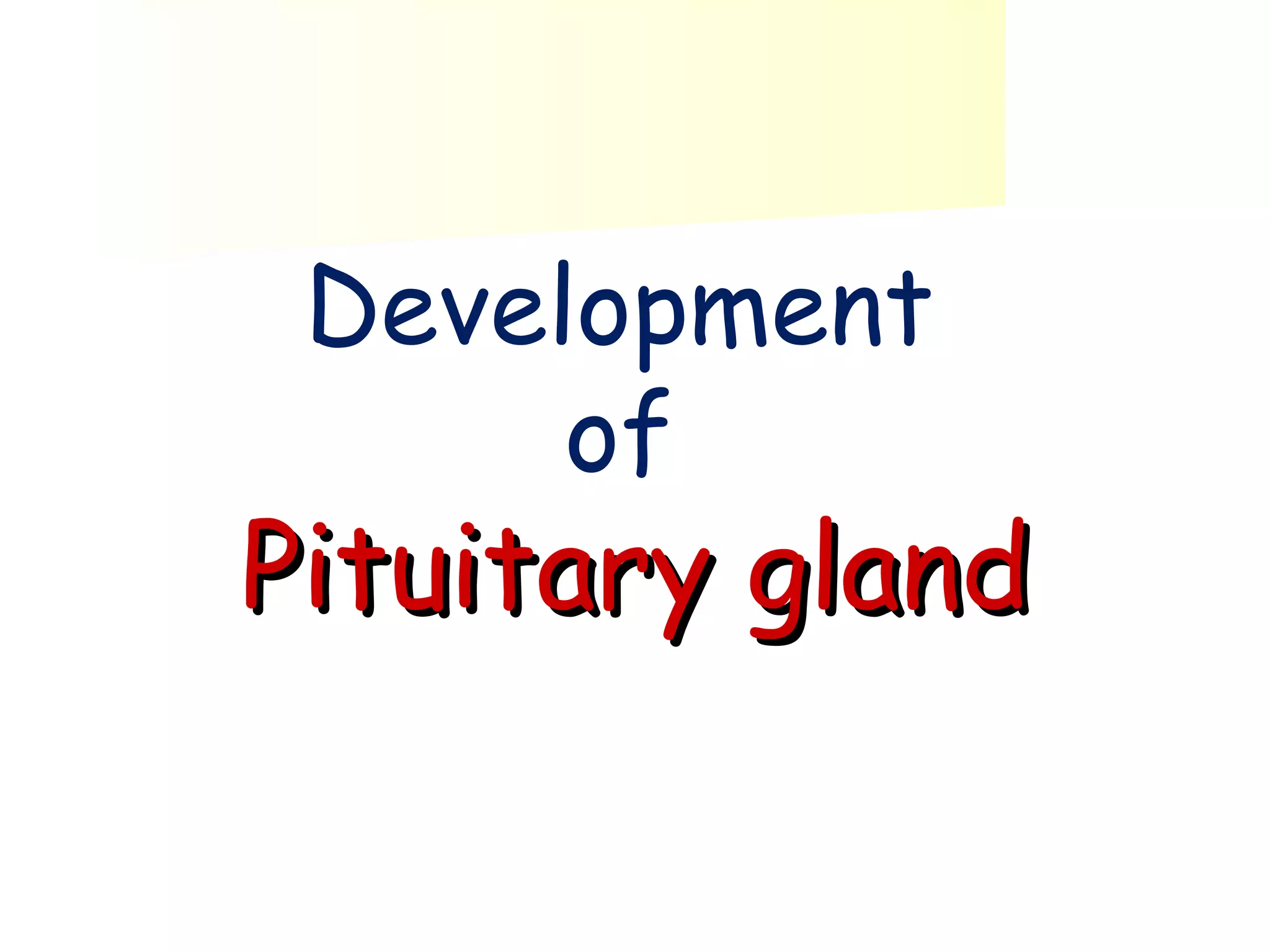 Development
of

Pituitary gland

 