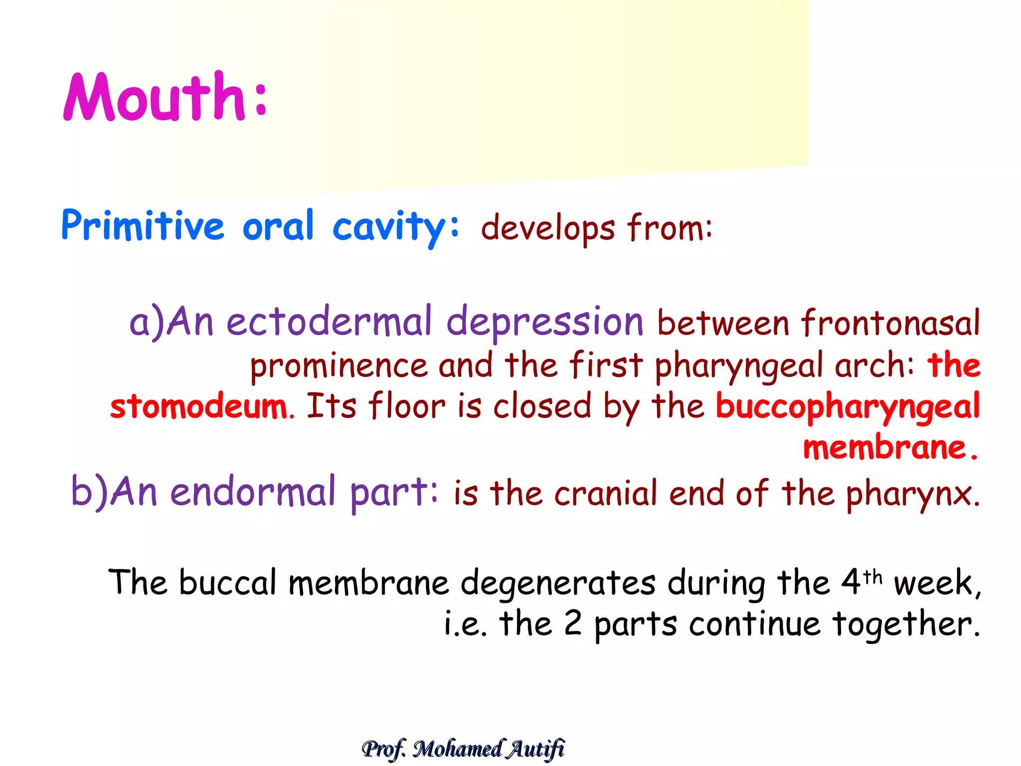 Mouth:
Primitive oral cavity: develops from:
a)An ectodermal depression between frontonasal

prominence and the first pharyngeal arch: the
stomodeum. Its floor is closed by the buccopharyngeal
membrane.
b)An endormal part: is the cranial end of the pharynx.
The buccal membrane degenerates during the 4 th week,
i.e. the 2 parts continue together.

Prof. Mohamed Autifi

 