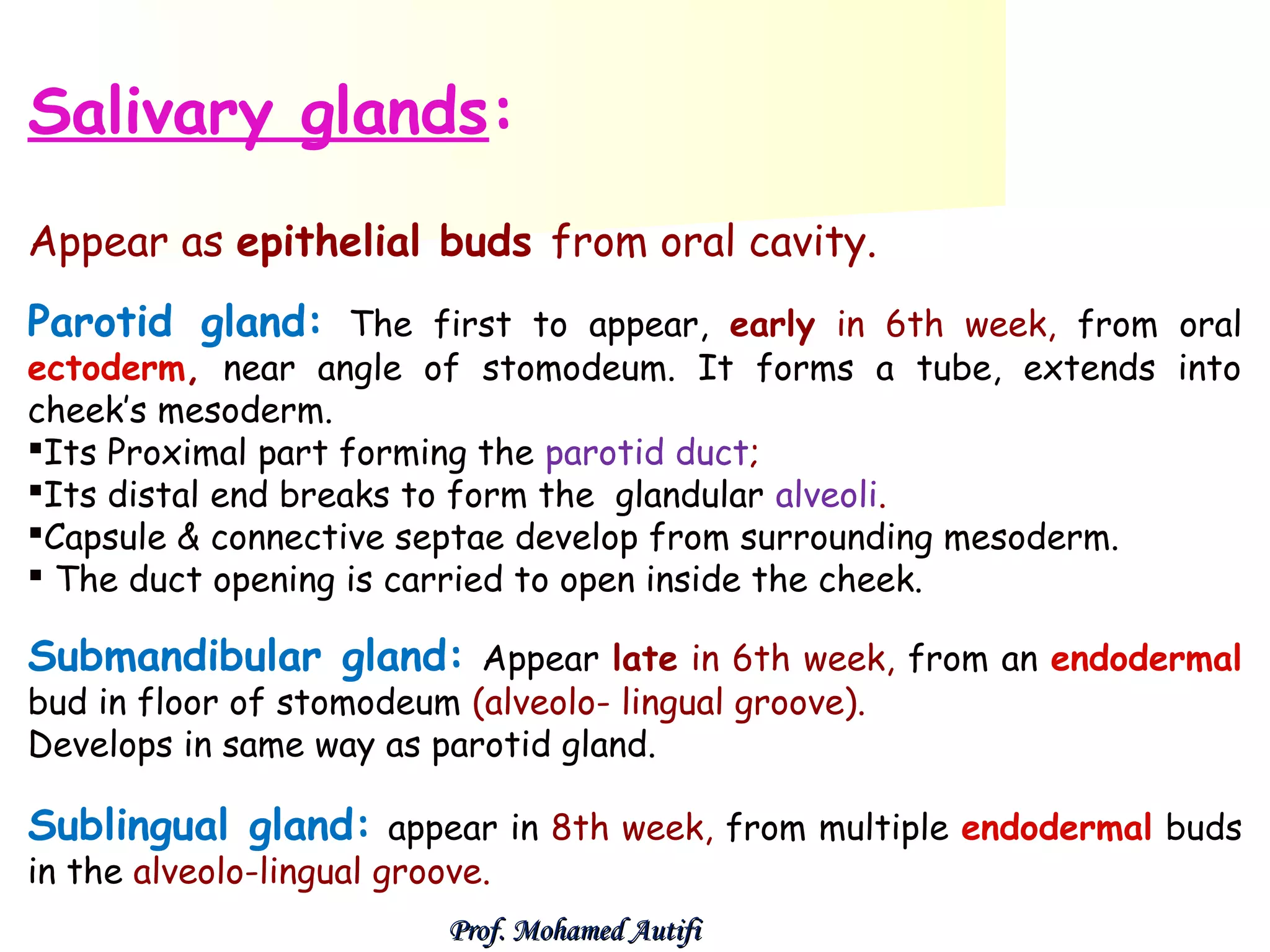 Salivary glands:
Appear as epithelial buds from oral cavity.
Parotid gland: The first to appear, early in 6th week, from oral
ectoderm, near angle of stomodeum. It forms a tube, extends into
cheek’s mesoderm.
Its Proximal part forming the parotid duct;
Its distal end breaks to form the glandular alveoli.
Capsule & connective septae develop from surrounding mesoderm.
 The duct opening is carried to open inside the cheek.

Submandibular gland: Appear late in 6th week, from an endodermal
bud in floor of stomodeum (alveolo- lingual groove).
Develops in same way as parotid gland.

Sublingual gland: appear in 8th week, from multiple endodermal buds
in the alveolo-lingual groove.

Prof. Mohamed Autifi

 