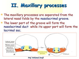 Development of the face, nose, palate | PPT