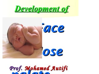 Development of

Face
Nose
Prof. Mohamed Autifi

 