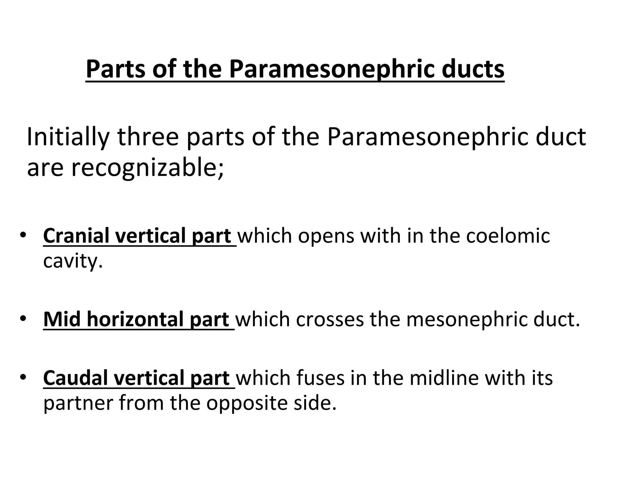 Parts of the Paramesonephric ducts
Initially three parts of the Paramesonephric duct
are recognizable;
• Cranial vertical part which opens with in the coelomic
cavity.
• Mid horizontal part which crosses the mesonephric duct.
• Caudal vertical part which fuses in the midline with its
partner from the opposite side.
 