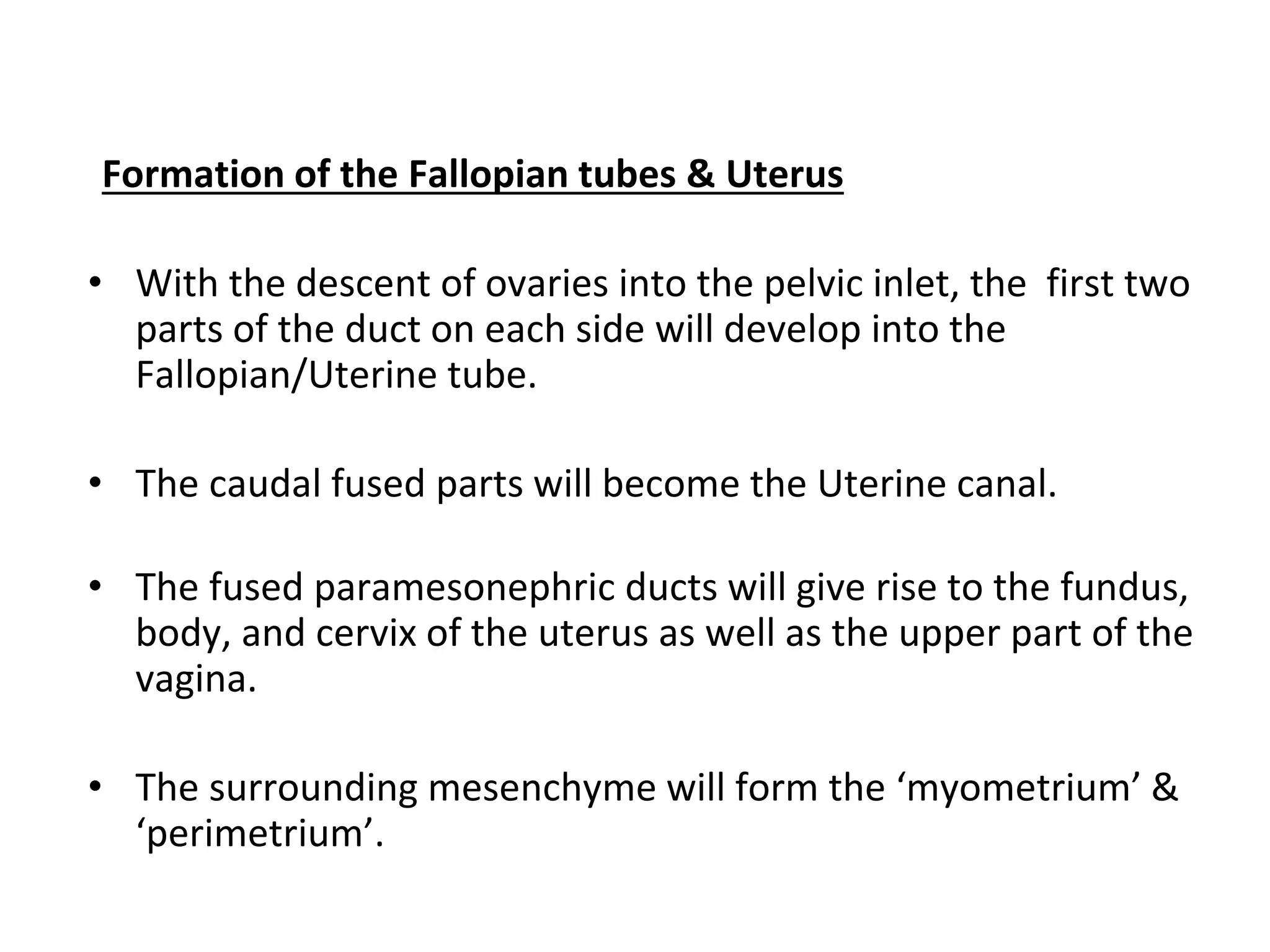 Formation of the Fallopian tubes & Uterus
• With the descent of ovaries into the pelvic inlet, the first two
parts of the duct on each side will develop into the
Fallopian/Uterine tube.
• The caudal fused parts will become the Uterine canal.
• The fused paramesonephric ducts will give rise to the fundus,
body, and cervix of the uterus as well as the upper part of the
vagina.
• The surrounding mesenchyme will form the ‘myometrium’ &
‘perimetrium’.
 