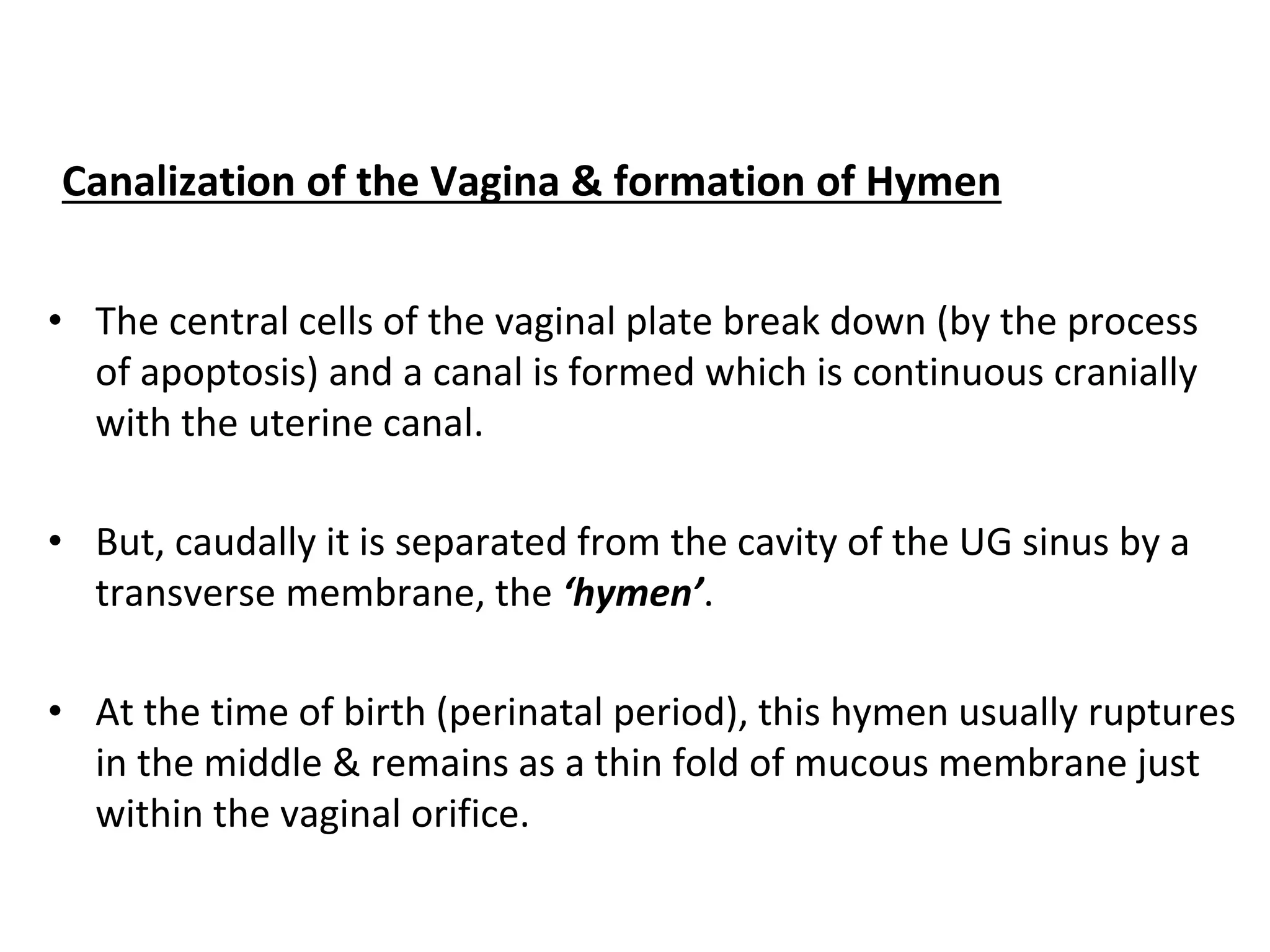 Canalization of the Vagina & formation of Hymen
• The central cells of the vaginal plate break down (by the process
of apoptosis) and a canal is formed which is continuous cranially
with the uterine canal.
• But, caudally it is separated from the cavity of the UG sinus by a
transverse membrane, the ‘hymen’.
• At the time of birth (perinatal period), this hymen usually ruptures
in the middle & remains as a thin fold of mucous membrane just
within the vaginal orifice.
 