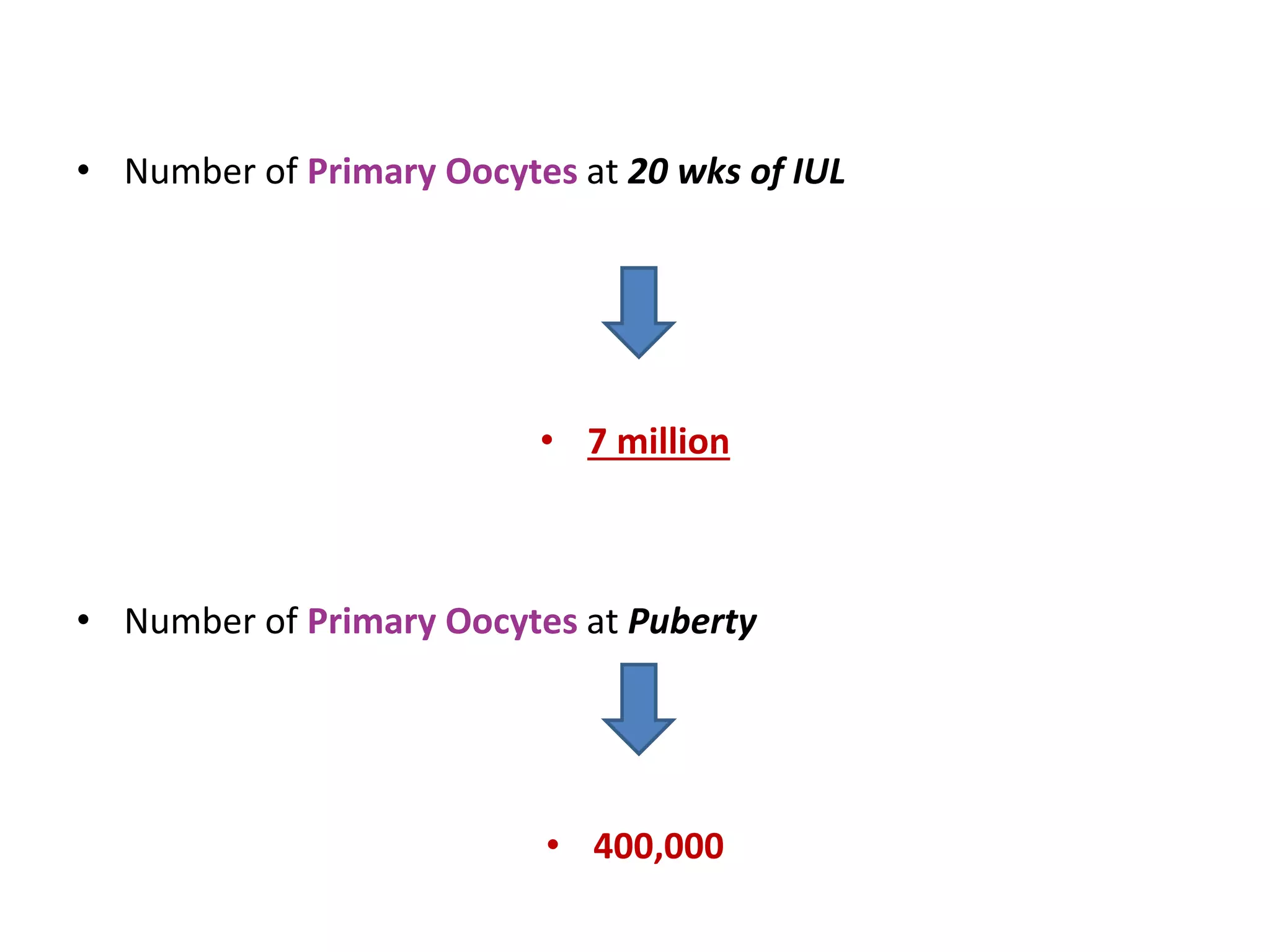 • Number of Primary Oocytes at 20 wks of IUL
• 7 million
• Number of Primary Oocytes at Puberty
• 400,000
 