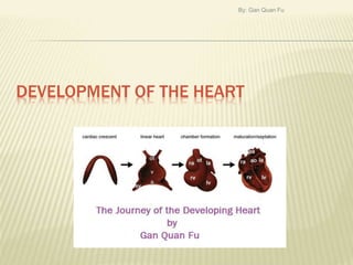 DEVELOPMENT OF THE HEART
By: Gan Quan Fu
 