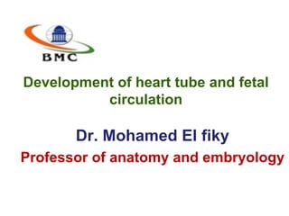 Development of heart tube and fetal
circulation
Dr. Mohamed El fiky
Professor of anatomy and embryology
 