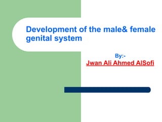 Development of the male& female
genital system
By:-
Jwan Ali Ahmed AlSofi
 